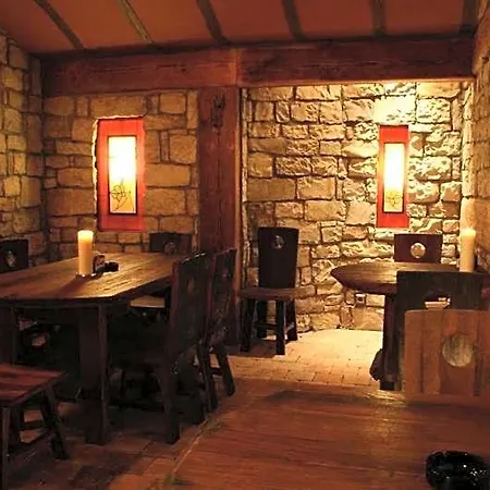 Zlaty Lev Louny