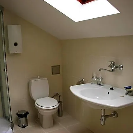 Hotel Zlaty Lev 3*