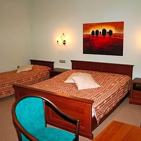 Zlaty Lev Hotel 3*